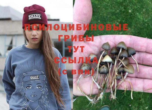 a pvp Бородино