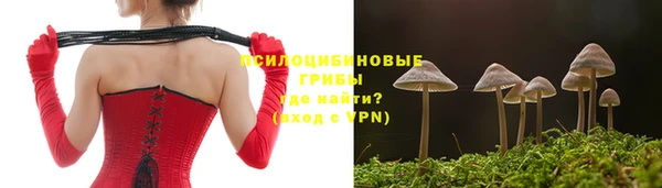 a pvp Бородино