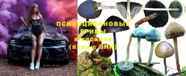дмт Верхний Тагил