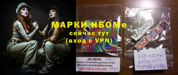 a pvp Бородино