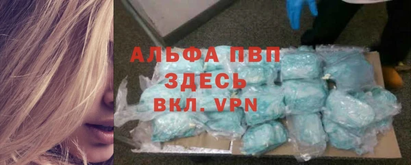 a pvp Бородино